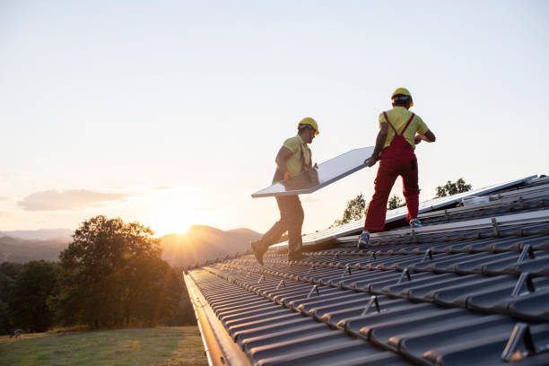 Best Skylight Installation and Repair  in Centennial Park, AZ