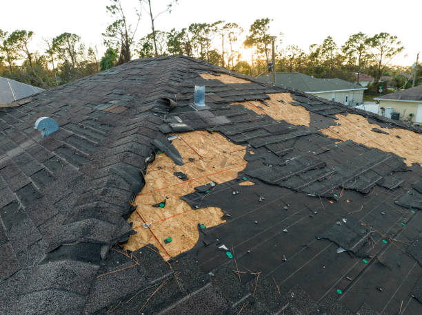 Best Roof Moss and Algae Removal  in Centennial Park, AZ